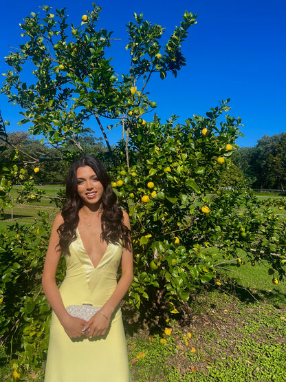 Rosa Gown